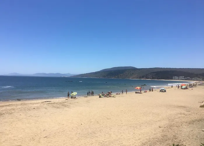 Lomas De Papudo 3, Bosque Y Playa